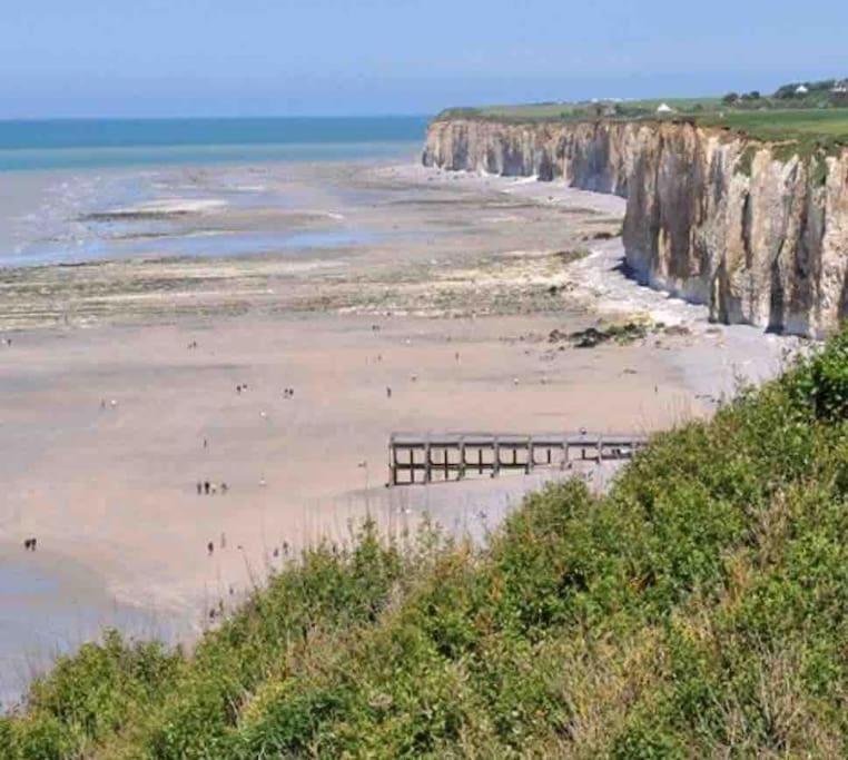 Superbe Appartement Entre Mer Et Ville Dieppe Exteriör bild